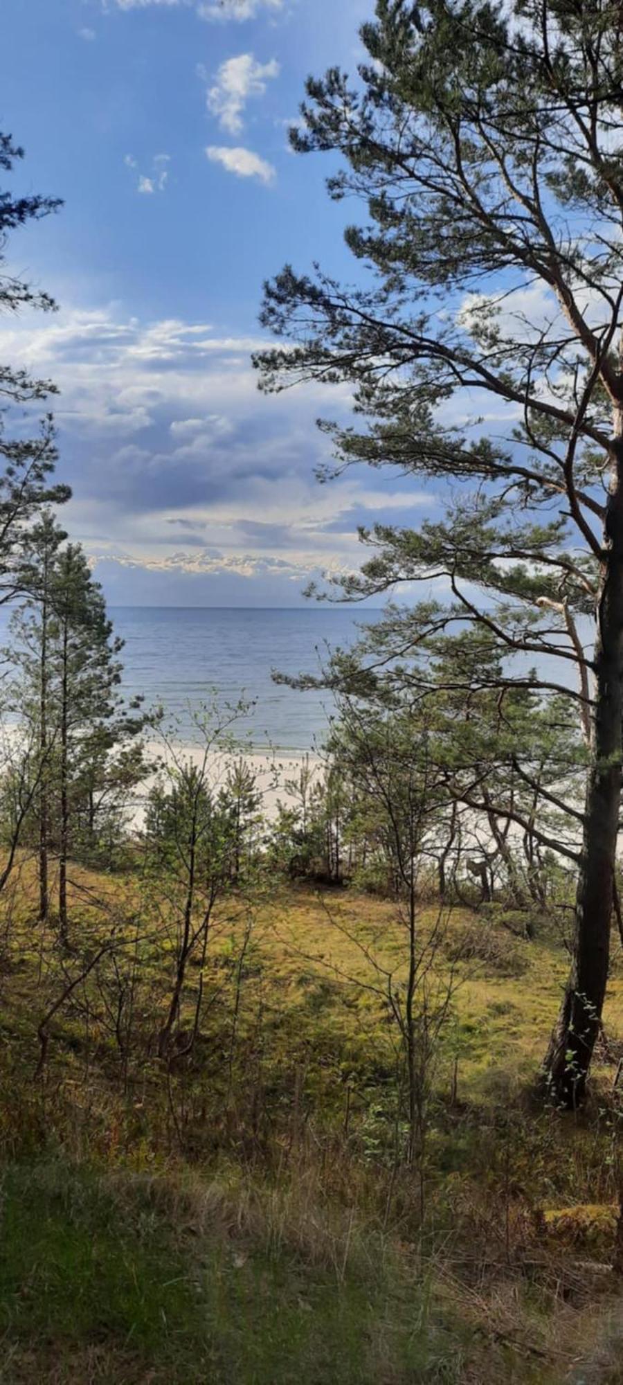 Pokoje Goscinne Nord Krynica Morska Extérieur photo