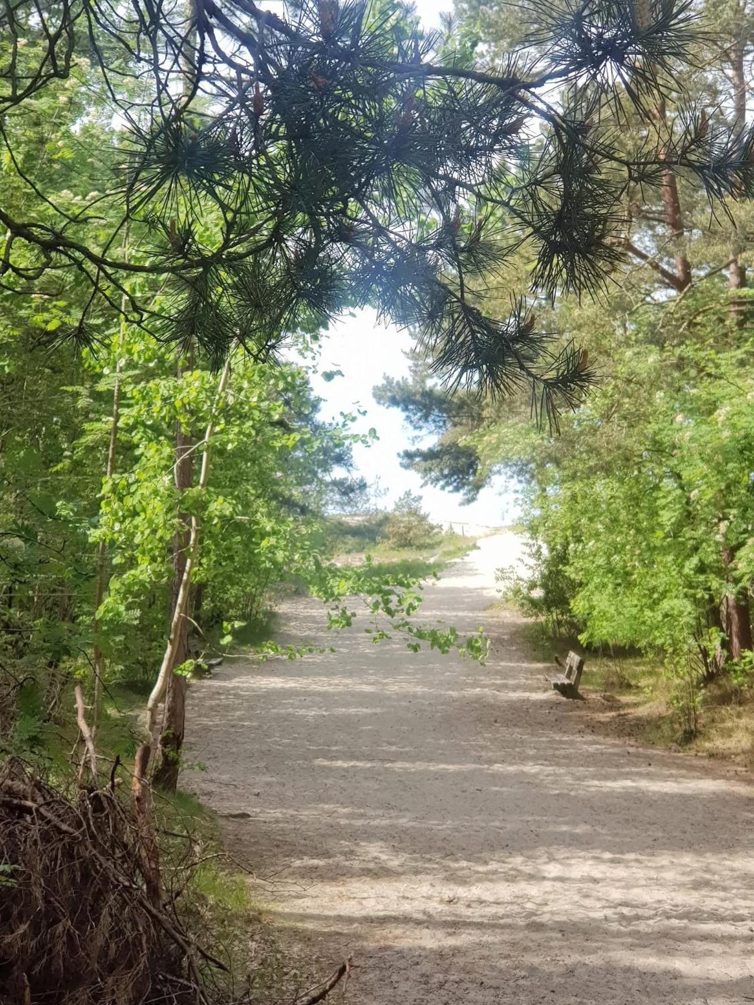Pokoje Goscinne Nord Krynica Morska Extérieur photo